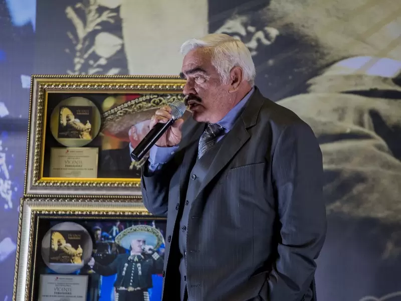 Vicente Fernández Vicente Fernández