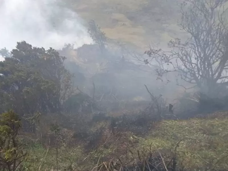 Incendio en el Parque Nacional Natural de los Nevados Incendio en el Parque Nacional Natural de los Nevados