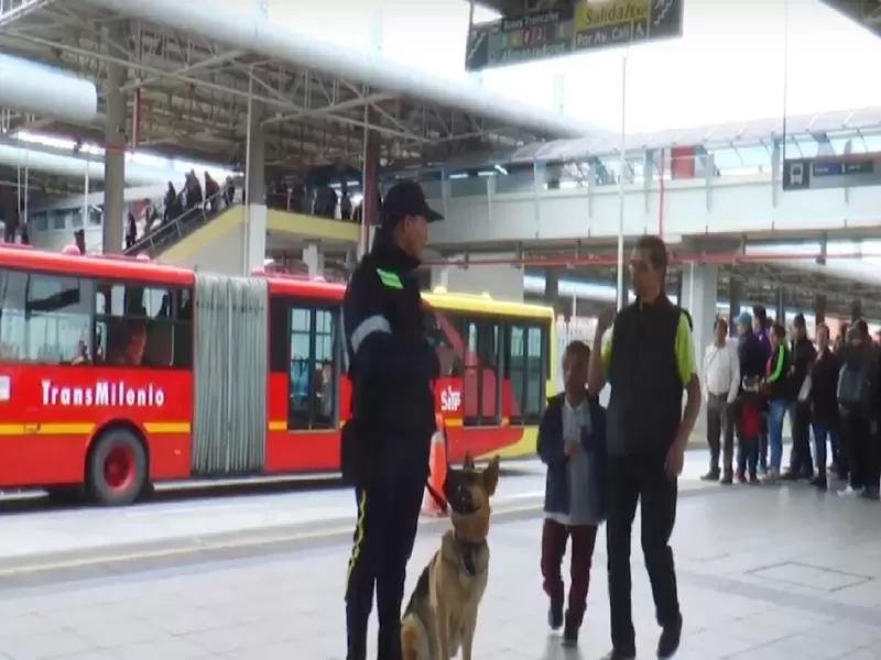 Perros usados en Transmilenio Perros usados en Transmilenio