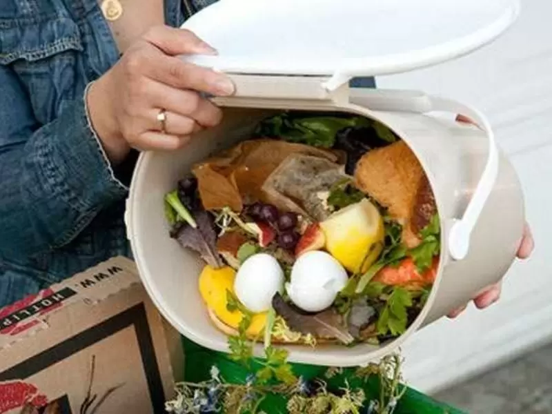 Desperdicio de Alimentos