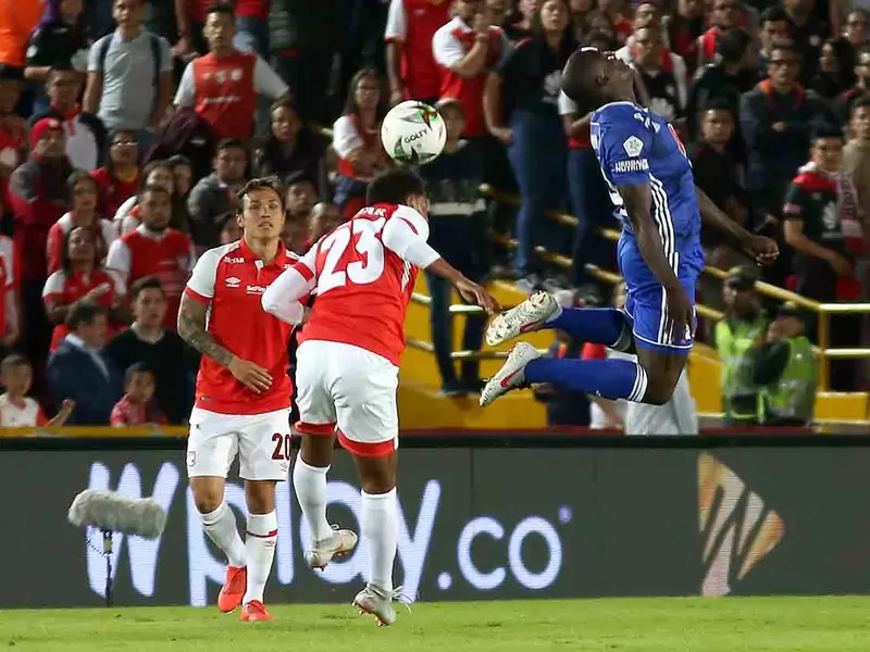 Santa Fe - Millonarios 2019 I