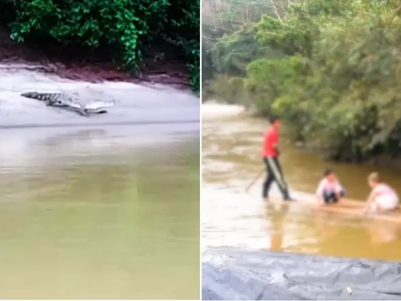 Niños del Catatumbo que cruzaban río lleno de caimanes