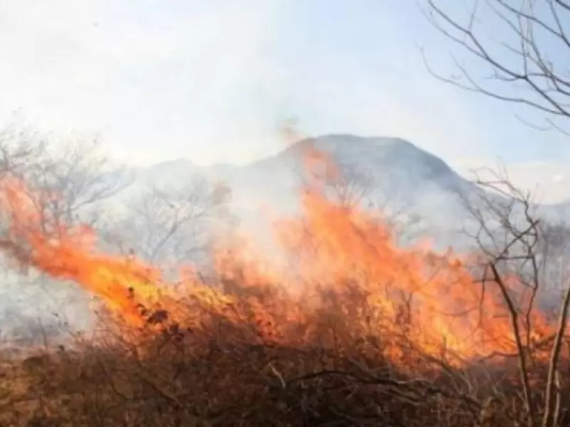 Incendios