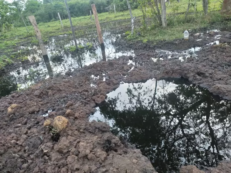 Atentado ECOPETROL Arauca