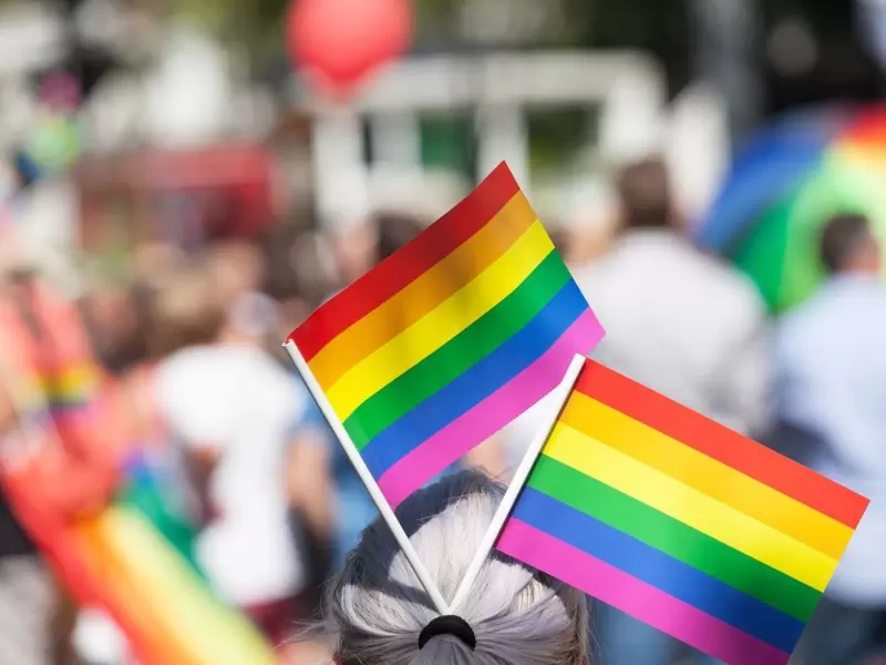 Día Internacional del Orgullo de LGTB