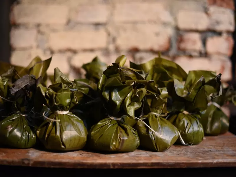 Tamal tolimense.