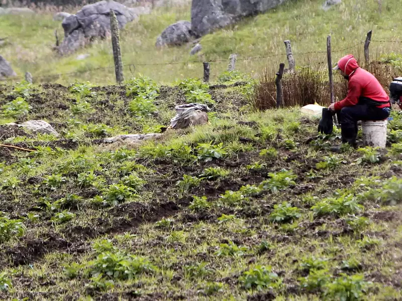 ‘Campo Emprende’ es el plan del Gobierno para impulsar el crecimiento económico y la transformación en las zons rurales.