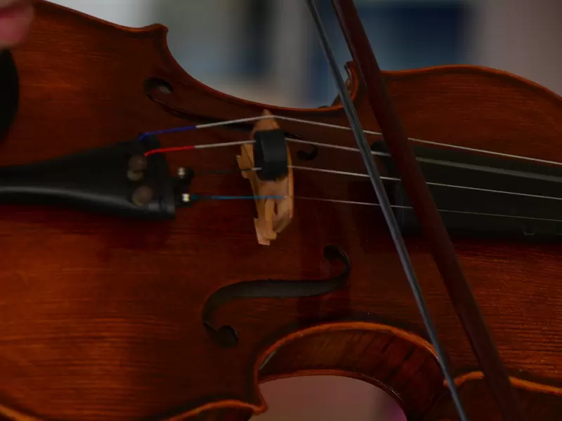 Violin foto referencia
