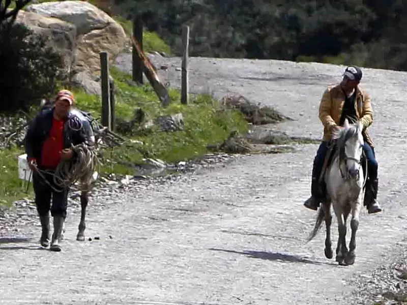CAMPO COLOMBIANO/AGRICULTURA EN COLOMBIA/CAMPESINOS