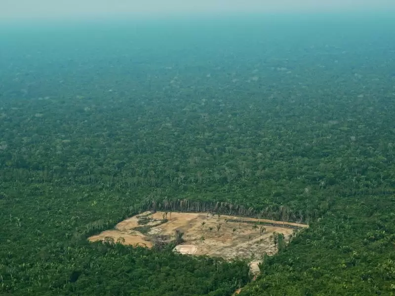 Deforestación en la Amazonía brasileña