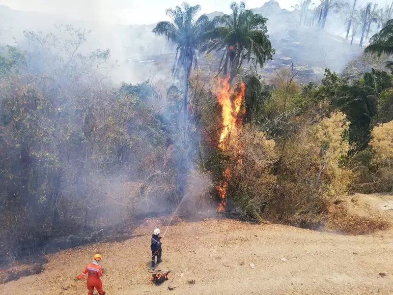 Por este incendio fue declarada la calamidad pública en Honda.
