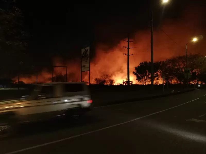600 hectáreas afectadas en Neiva