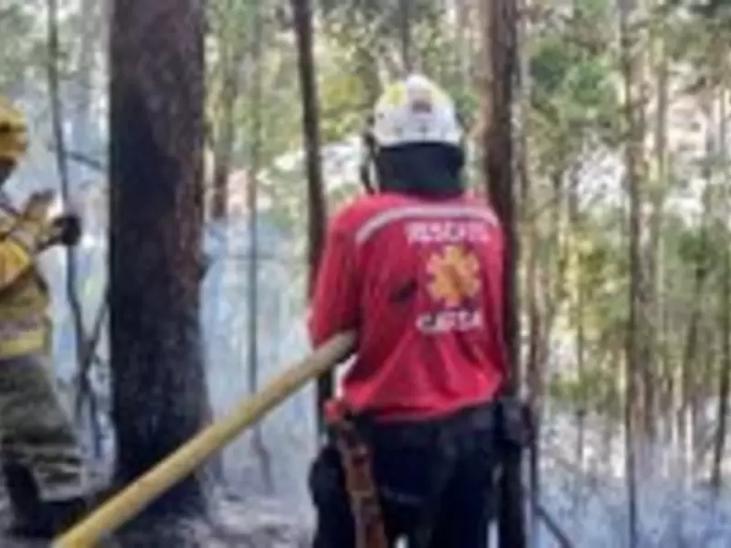 Incendios forestales.