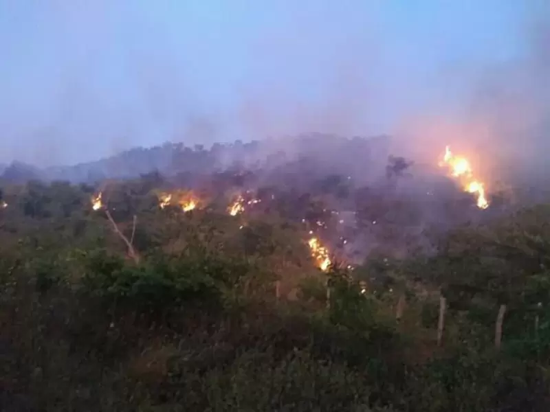 cerca de 500 hectáreas fueron consumidos por incendios forestales de la reserva forestal