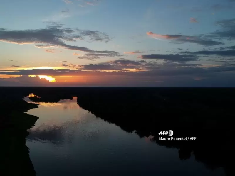 Alrededor de un 20% de selva tropical ha desaparecido durante el último medio siglo.
