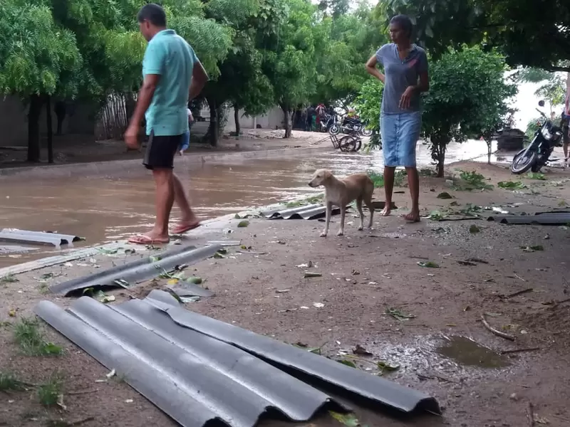 Vendaval Atlántico, viviendas afectadas