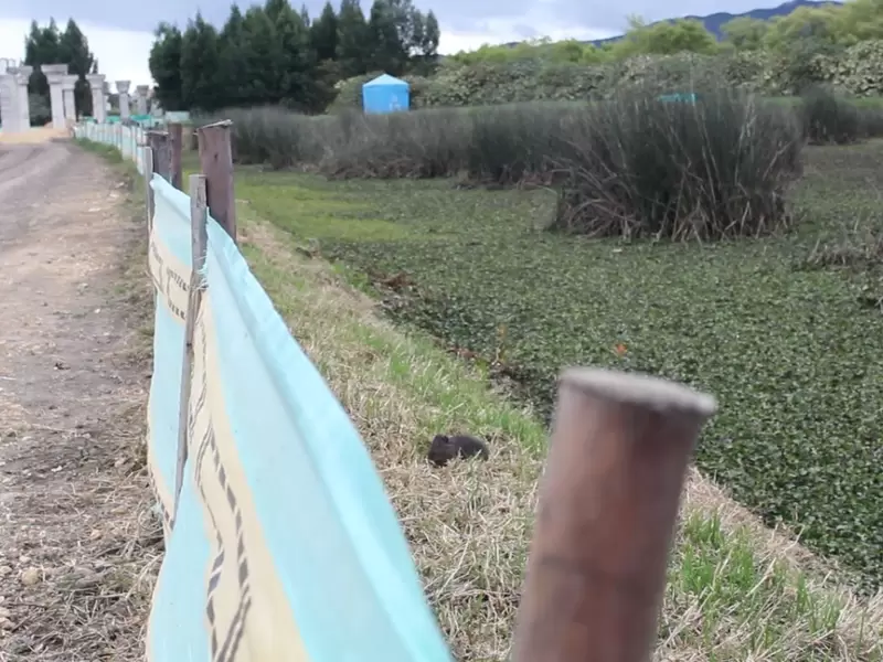 Obras Humedal Jaboque
