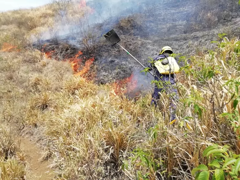 Incendio forestal sector Guabinas, Yumbo, Valle
