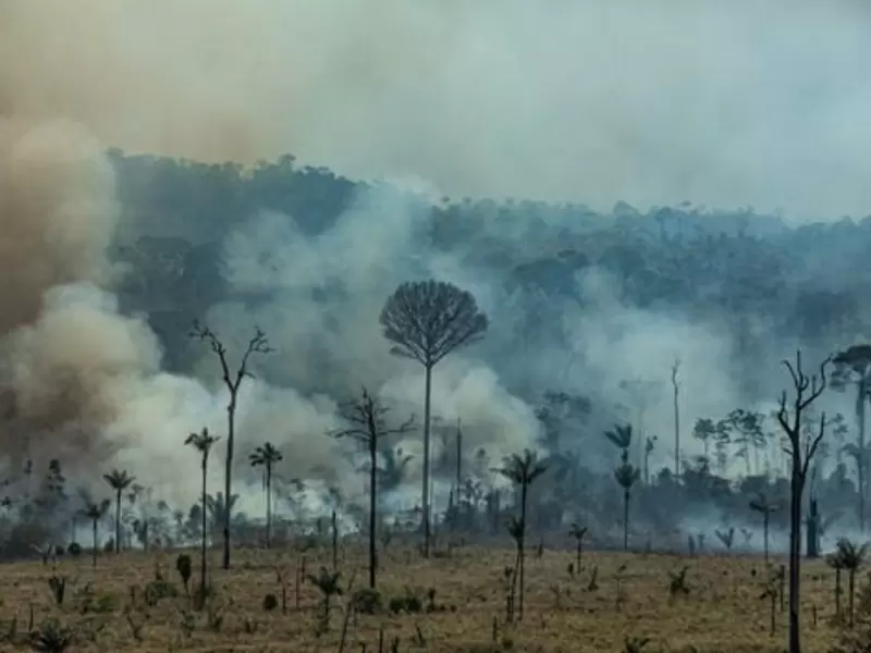 Incendio Forestal en la amazonia brasileña