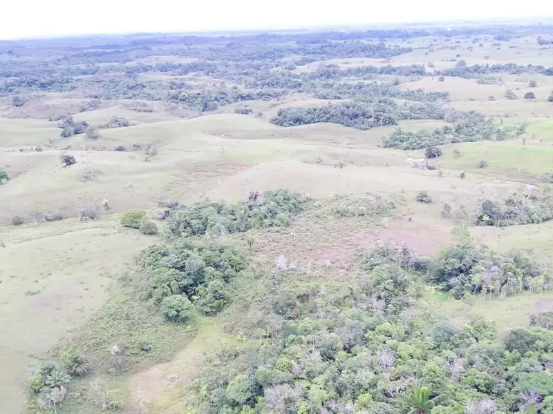 Panorámica de zonas de deforestación en el Caquetá