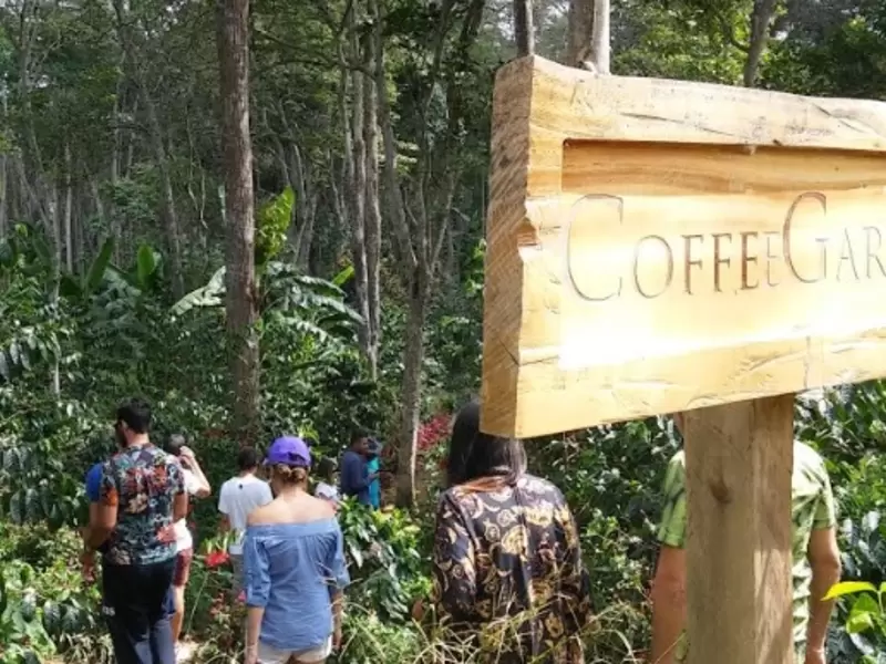 Café colombiano