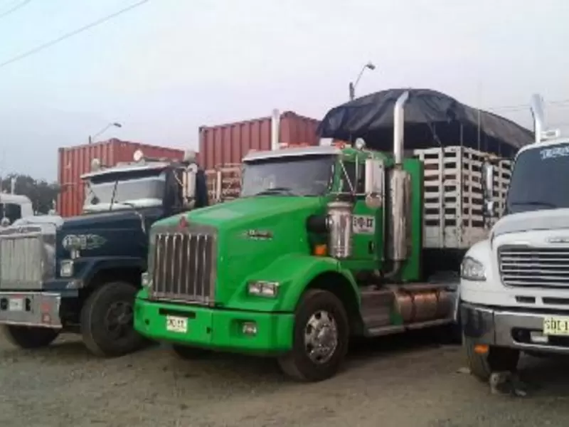 Sector del Transporte de Carga
