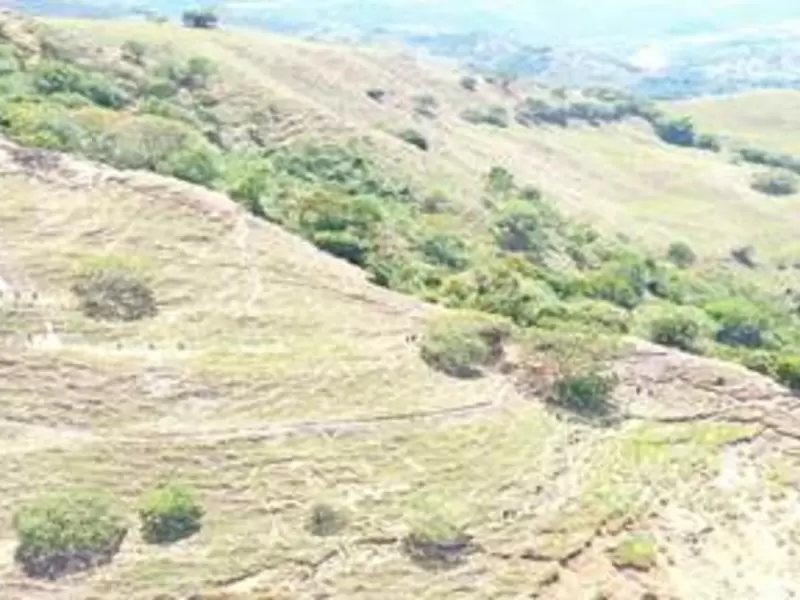 Derrumbe en Sinifaná, en la Troncal del Café.