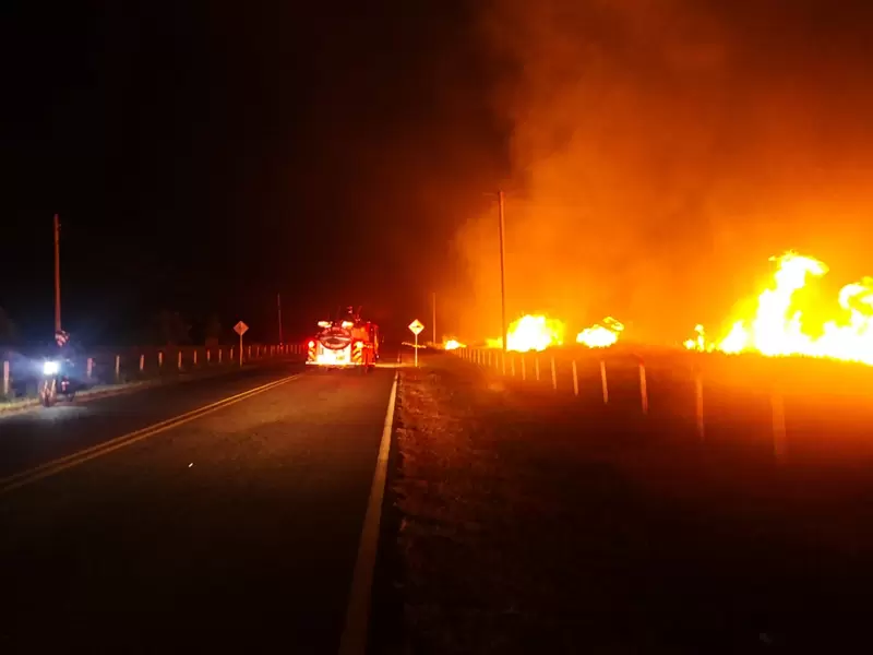 Incendio Forestal Tolemaida