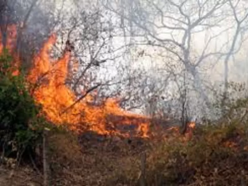 Incendios Forestales en Norte de Santander