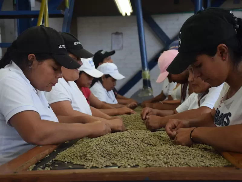 Tecnicafé, Parque Tecnológico del Café