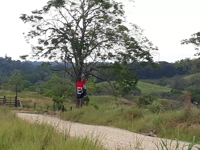 Bandera ELN