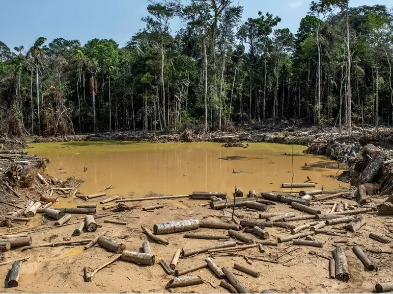 Deforestación en el Amazonas