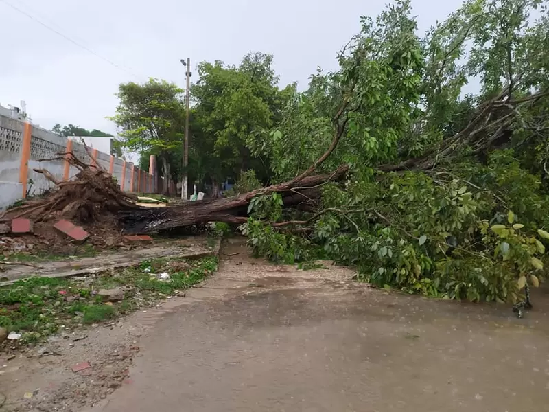 Afectaciones en Baranoa tras vendaval.