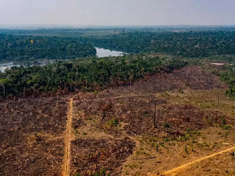 Deforestación en la Amazonia (Municipio de Colniza, estado de Mato Grosso, Brasil) Deforestación en la Amazonia (Municipio de Colniza, estado de Mato Grosso, Brasil)