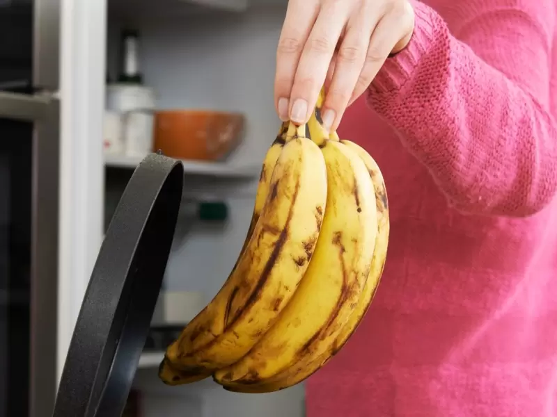 Desperdicio de alimentos Desperdicio de alimentos