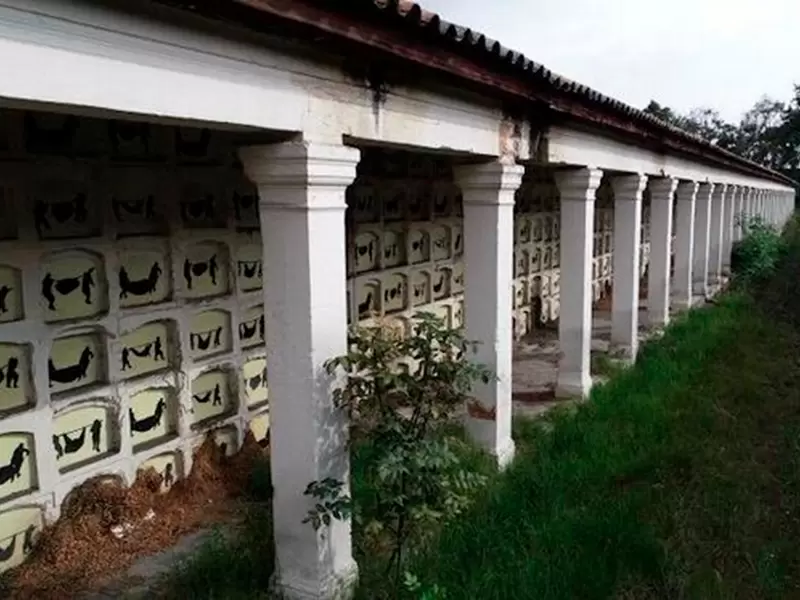 Los dibujos de la artista Beatriz González en inmediaciones del Cementerio Central, en Bogotá