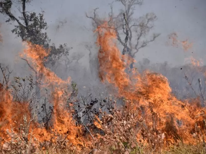 Incendios en Paraguay