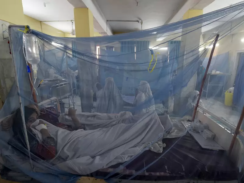 Ebola