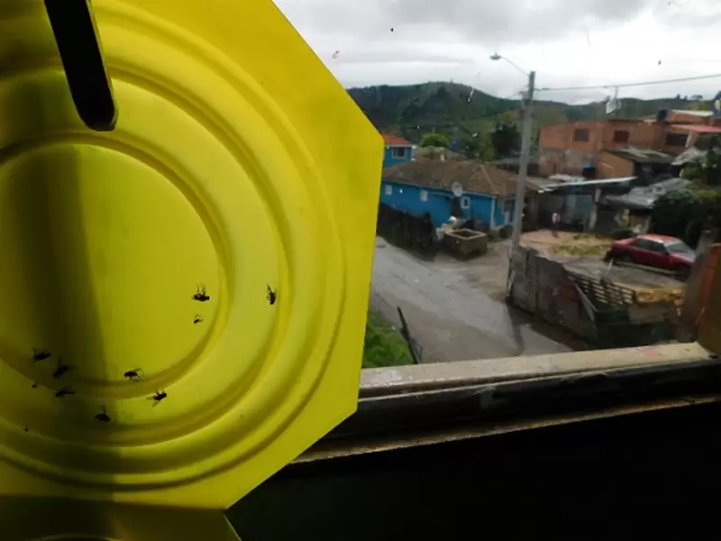 Moscas en las casas vecinas al relleno Doña Juana.
