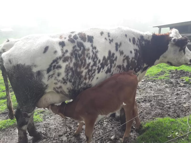 Jóvenes del campo sueñan con crecer y marcharse a la ciudad