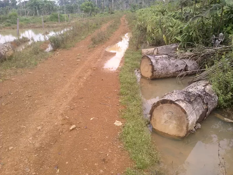 Deforestación en el Amazonas