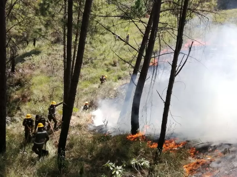Incendio en el Cerro Quitasol