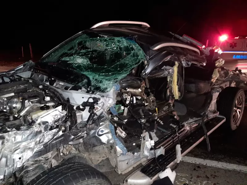 14 lesionados, 6 personas fallecidas en accidentes