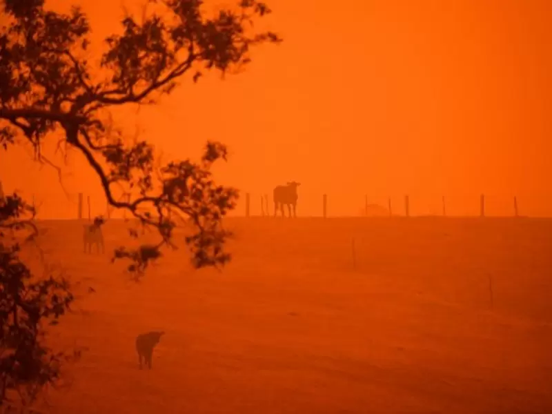 incendios australia