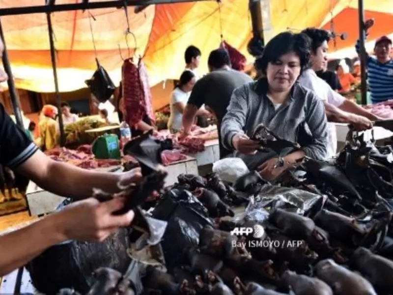 Mercado animal en la Chins
