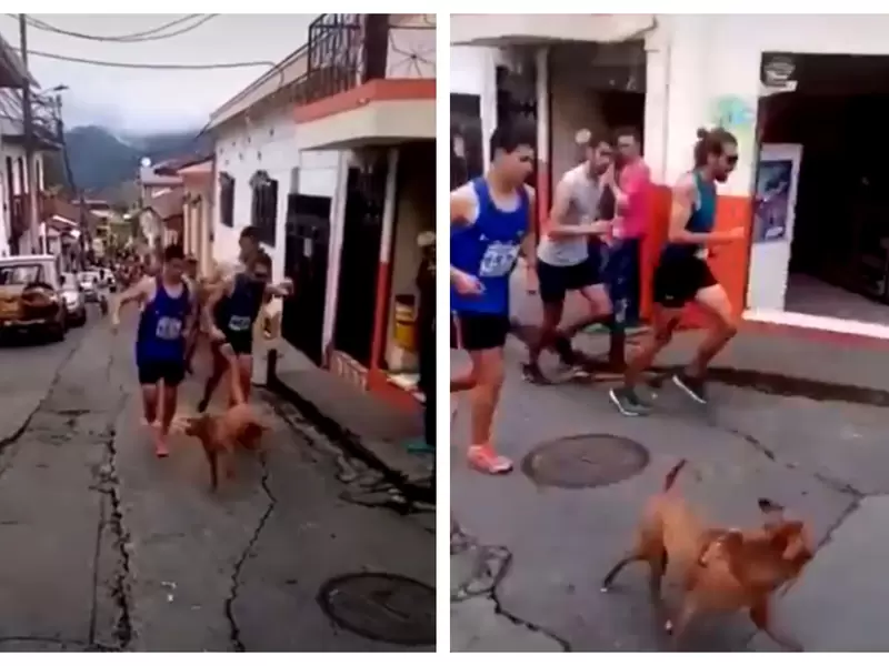 Atleta Jaime Alejandro