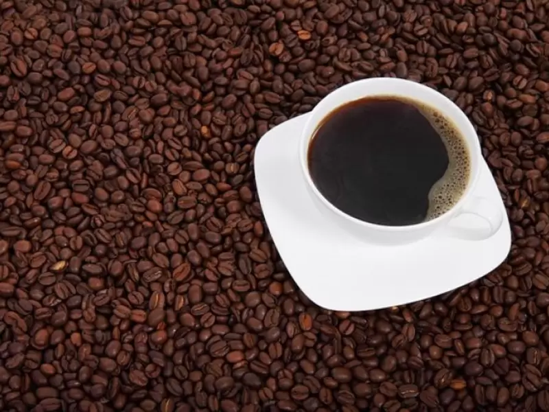 Con el proyecto se pretenden impulsarían las tiendas “Café Tolima” en Europa y Estados Unidos
