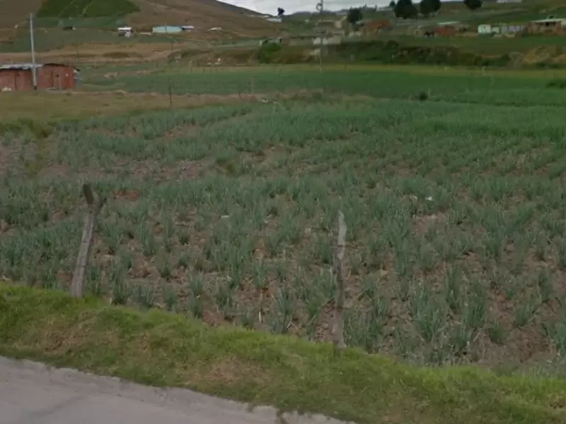 Más de mil familias han resultado afectadas por las heladas.