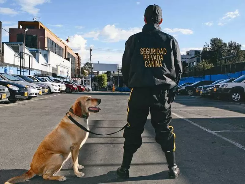 Perros Seguridad