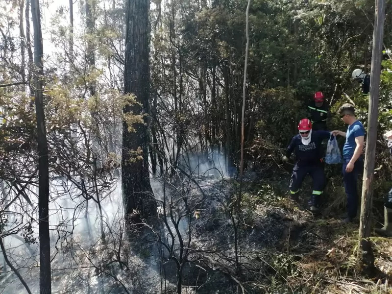 Incendio Forestal